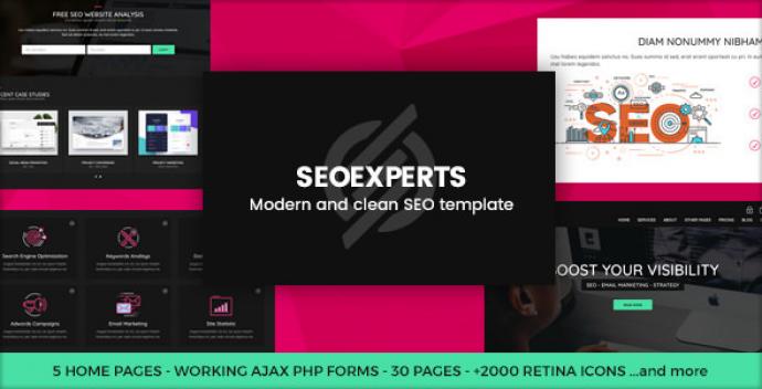 قالب سئو و بازاریابی SEOEXPERT 
