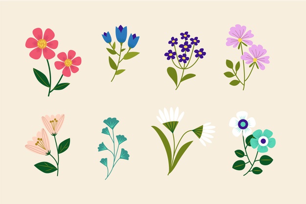وکتور مجموعه گل های بهاری رایگان