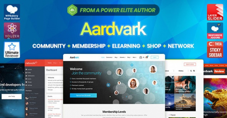دانلود رایگان قالب وردپرس شبکه اجتماعی Aardvark