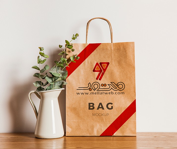 موکاپ ساک دستی