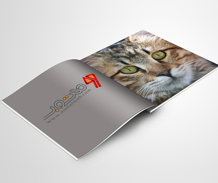 موکاپ جدید کاتالوگ